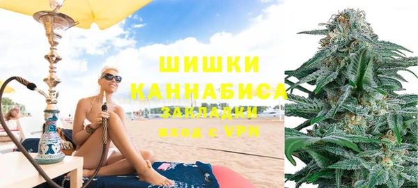 шишки Алексеевка