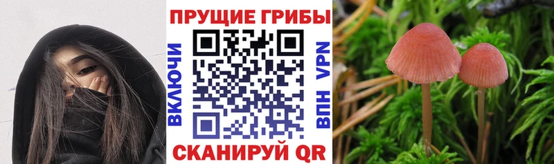 Галлюциногенные грибы мухоморы  Усолье 